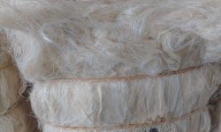 WhatsApp Image 2024-05-22 at 10.36.44 AM (1)