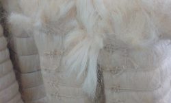 WhatsApp Image 2024-05-22 at 10.36.44 AM